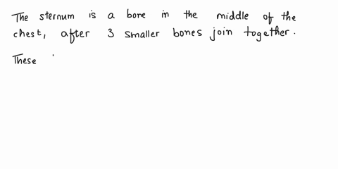 the-sternum-is-fully-formed-in-an-adult-after-fusion-between-which-3-bones-manubrium-body-xiphoid-process-ilium-ischium-pubis-coccyx-sacrum-coxal-bone-sphenoid-parietal-ethmoid-bones-thoraci-40915