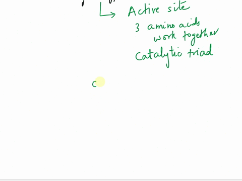diagram-the-catalytic-triad-of-serine-proteases-and-indicate-h-binding-note-drawing-the-side-chains-of-amino-acid-residues-involved-is-sufficient-26187
