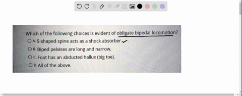 which-of-the-following-choices-is-evident-of-obligate-bipedal-locomotion-oa-s-shaped-spine-acts-as-a-shock-absorber-0-b-biped-pelvises-are-long-and-narrow_-c-foot-has-an-abducted-hallux-big-98399