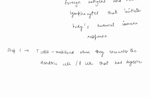 the-following-are-steps-in-the-cell-mediated-immune-response-put-them-in-the-correct-order-cytotoxic-t-cells-find-viral-infected-cell-and-release-perforin-and-granzymes-2-antigen-is-engulfed-37228