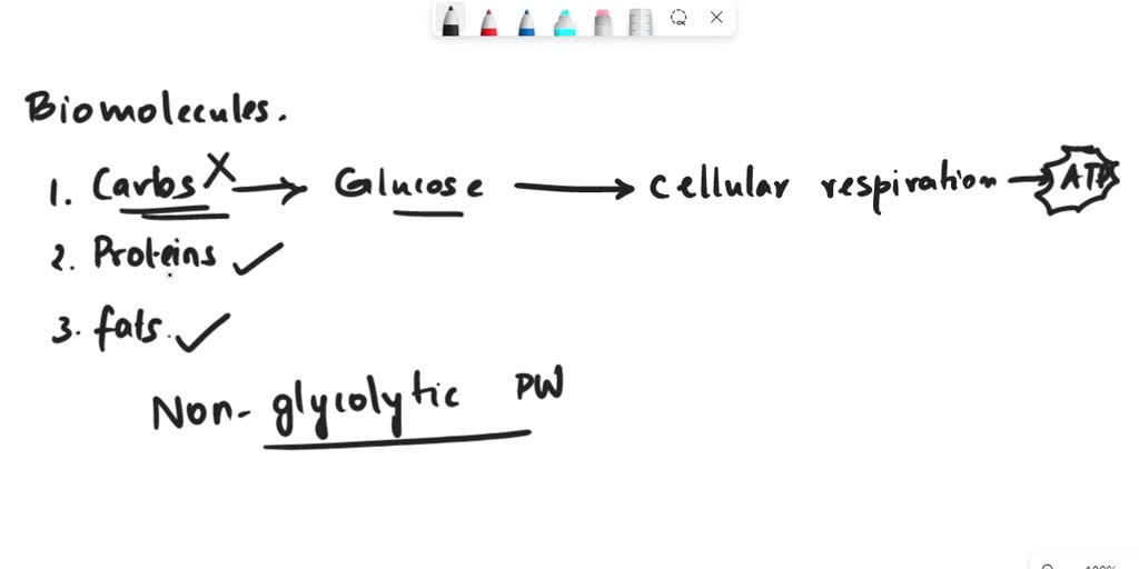 solved-describe-what-happens-in-the-body-when-only-proteins-and-fat