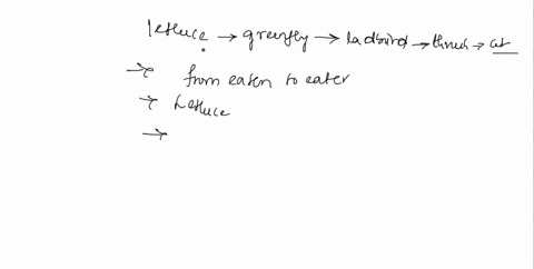 food-webs_and-food-chains-worksheet-look-at-this-food-chain-lettuce-greenfly-ladybug-thrush-cat-what-does-the-arrow-mean-in-food-chain-name-the-producer-in-the-food-chain-name-the-third-trop-17897