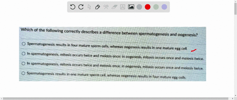 which-of-the-following-correctly-describes-difference-between-spermatogenesis-and-oogenesis-spermatogenesis-results-in-four-mature-sperm-cells-whereas-oogenesis-results-in-one-mature-egg-cel-12627