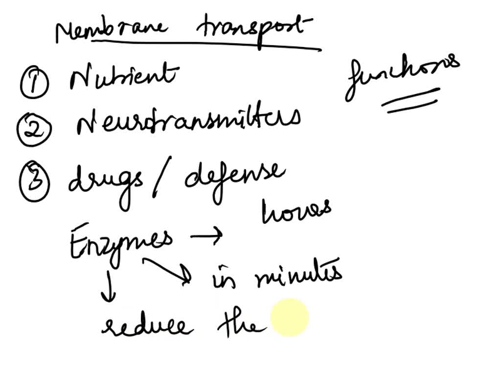 SOLVED Does it mean to have constitutively active Rab expressed in