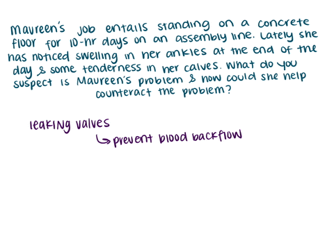 maureens-job-entails-standing-on-a-concrete-floor-for-10-hour-days-on-an-assembly-line-lately-she-has-noticed-swelling-in-her-ankles-at-the-end-of-the-day-and-some-tenderness-in-her-calves-w-63534