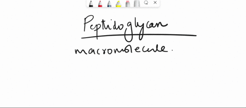 4-describe-the-structure-of-peptidoglycan-and-state-what-bonds-are-destroyed-by-penicillin-and-lysozyme-respectively-why-does-interfering-with-peptidoglycan-structure-tend-to-result-in-cell-65378
