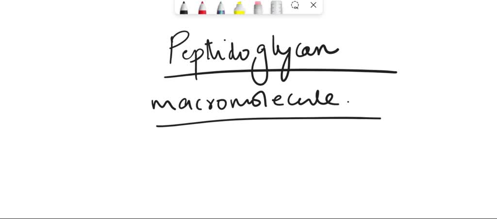 Solved 4 Describe The Structure Of Peptidoglycan And State What Bonds