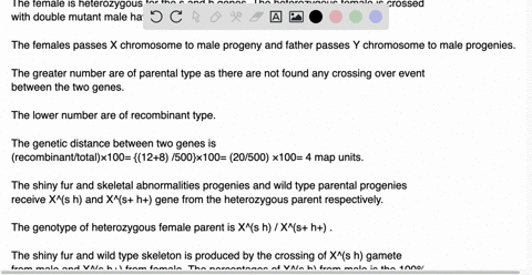 please-be-very-specific-about-this-question-please-describe-the-answer-very-clearly-thanks-in-mice-the-recessive-allele-s-of-the-x-linked-gene-shiny-produce-shiny-fur-while-the-dominant-wild-33729