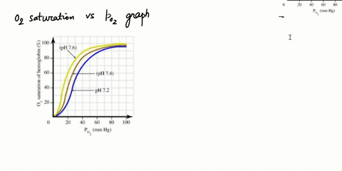 at-normal-blood-ph-74-hemoglobin-is-40-saturated-at-partial-pressure-of-oxygen-02-of-20-mmhg-use-the-oxygen-hemoglobin-dissociation-curves-to-determine-the-oxygen-saturation-of-hemoglobin-pa-08632