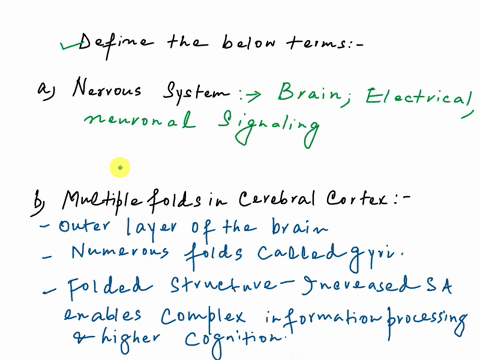 the-nervous-system-pre-lab-questions-what-is-the-primary-function-of-the-nervous-system-why-does-the-cerebral-cortex-contain-so-many-folds-what-is-a-nerve-impulse-what-are-schwann-cells-and-75195