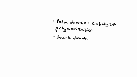 briefly-summarize-the-palm-thumb-and-finger-domains-of-dna-polymerase-and-explain-how-they-contribute-to-replication-what-is-the-role-of-the-metal-ions-in-the-palms-activity-13564