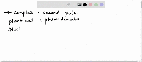 rewrite-and-complete-the-second-pair-on-a-similar-basis-50477