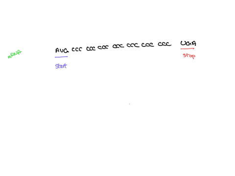 which-type-of-mutation-is-likely-to-have-the-greatest-effect-on-a-protein-88926