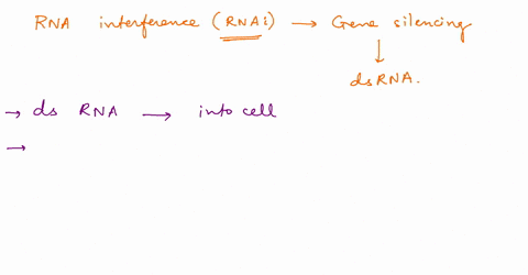 The rna interference is a mechanism of gene regulation in...
