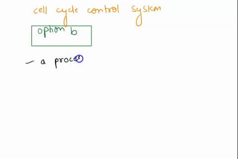 the-cell-cycle-control-system-__________________-group-of-answer-choices-regulates-progression-through-the-cell-cycle-at-four-main-transition-points-between-each-of-the-four-phases-g1s-sg2-g-67484
