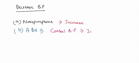 which-ofthe-following-decreases-blood-pressure-norepinephrine-antidiuretic-hormone-angiotensin-il-aldosterone-natriuretic-peptides-norepinephrine-and-epinephrine-moving-to-another-question-w-84925