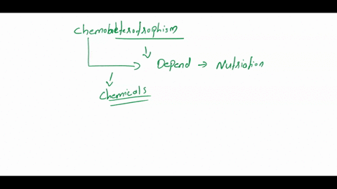 most-protozoa-obtain-nutrients-by-select-chemoheterotrophism-as-your-answer-chemoheterotrophism-select-absorption-from-water-as-your-answer-absorption-from-water-select-photoautotropism-as-y-38947