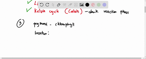 1-the-reaction-for-photosynthesis-is-like-the-mirror-image-of-another-reaction-called-a-atp-hydrolysis-b-redox-reaction-c-phosphorylation-d-cellular-respiration-2-photosynthesis-consists-of-65127