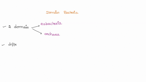 which-of-the-following-characterizes-the-domain-bacteria-23335