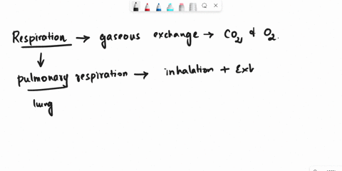 which-of-this-statement-is-true-for-pulmonary-respirationa-exchange-of-gases-between-alveoli-of-lungs-and-the-bloodb-exchange-of-gases-between-blood-and-tissue-cellsc-breathing-between-the-a-49614