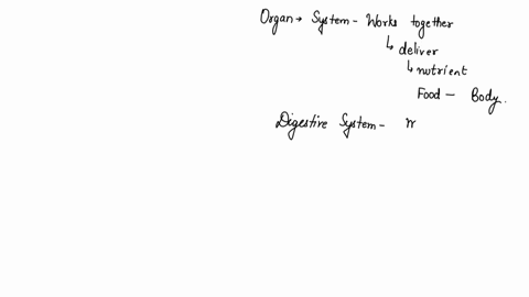 how-do-organ-systems-work-together-to-deliver-nutrients-from-food-throughout-the-body-a-the-nervous-system-senses-food-and-the-lymphatic-system-extracts-nutrients-and-distributes-them-to-bod-27175