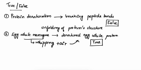 test-your-understanding-of-the-term-denaturation-by-deciding-which-of-the-following-statements-are-true-protein-denaturation-involves-cleavage-of-its-peptide-bonds-egg-white-meringue-contain-10954