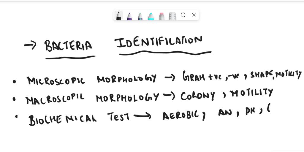 SOLVED A review of molecular biologybased rapid methods for the