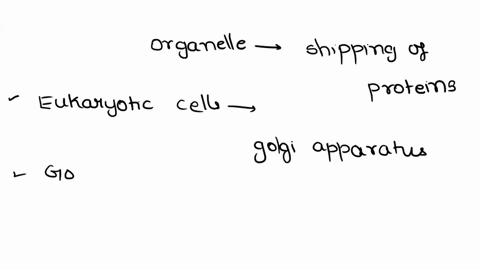 the-organelle-responsible-for-receiving-packaging-and-shipping-proteins-is-called-the-a-lysosomes-b-golgi-apparatus-c-mitochondria-d-ribosome-69845