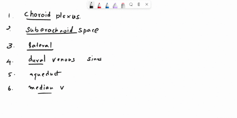 place-a-single-word-into-each-sentence-t0-make-it-correct-then-place-each-senterice-into-a-logical-pa-of-cerebrospinal-fluid-drag-ihe-lext-blocks-below-inlo-lhelr-cortect-ordet-plexus-in-tne-23295