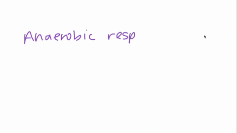 e-coli-is-a-species-of-bacteria-that-under-the-appropriate-conditions-can-grow-using-fermentation-anaerobic-respiration-or-aerobic-respiration-this-is-one-example-of-how-e-coli-has-a-greater-42766