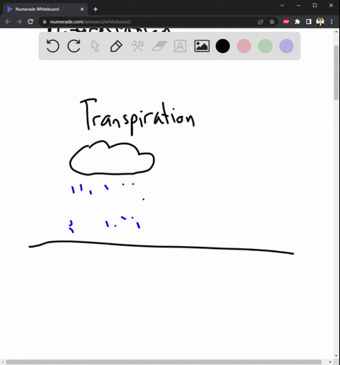 explain-how-deforestation-leads-to-reduced-rainfall-31682