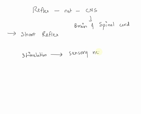 what-is-the-term-for-a-reflex-that-does-not-include-a-cns-component-a-long-reflex-b-visceral-reflex-c-somatic-reflex-d-short-reflex-22444