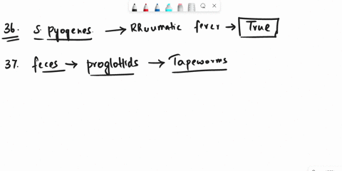true-or-false-36_____-streptococcus-pyogenes-causes-rheumatic-fever-37_____-a-human-patient-is-ill-tests-reveal-proglottids-in-the-feces-of-this-person-this-indicates-infection-by-a-tapeworm-56117