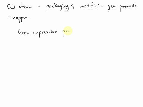 gene-expression-products-are-packaged-and-modified-by-the-addition-and-deletion-of-functional-groups-in-this-structure-of-the-cell-___________-63554