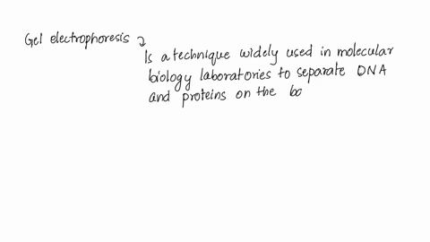 true-or-false-gel-electrophoresis-can-tell-you-the-sequence-of-a-particular-dna-fragment-21938