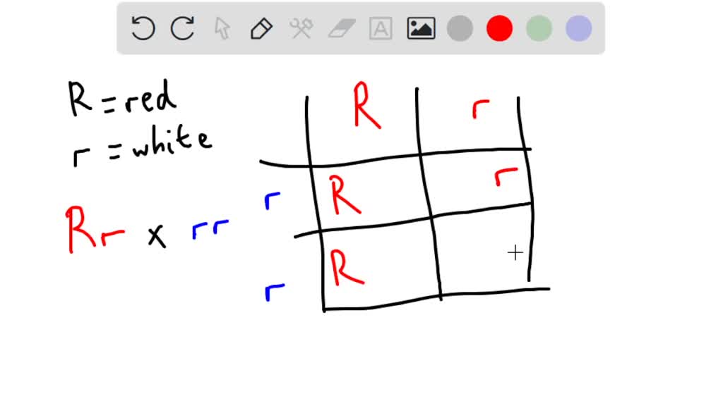 SOLVED A cross between a plant with red flowers (R = dominant) and a