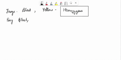 5-in-species-of-frog-the-gene-for-color-shows-codominance-frogs-that-are-black-and-frogs-that-are-yellow-are-homozygous-frog-with-one-black-allele-and-one-yellow-allele-are-black-and-yellow-97798