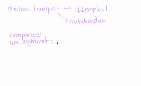describe-some-similarities-between-the-electron-transport-chains-in-chloroplasts-and-in-mitochondria-27856