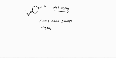 provide-the-major-organic-product-of-the-reaction-shown-below-please-circle-your-answer-nasch2ch3-provide-the-major-organic-product-of-the-reaction-shown-below-naschch-hh-draw-the-molecule-o-46497
