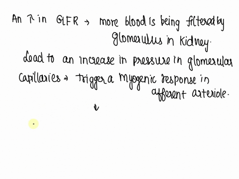 an-increase-in-glomerular-filtration-rate-gfr-will-produce-a-myogenic-response-which-signals-the-afferent-arteriole-to-vasodilate-stimulate-the-macula-densa-to-secrete-sodium-stimulate-the-m-08586