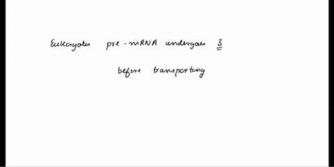 what-are-three-mechanisms-of-rna-processing-in-eukaryotes-61603