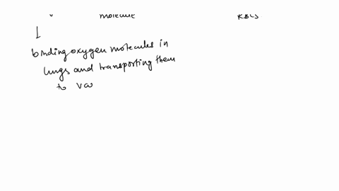 how-do-you-suppose-that-a-molecule-of-hemoglobin-is-able-to-bind-oxygen-efficiently-in-the-lungs-and-13295