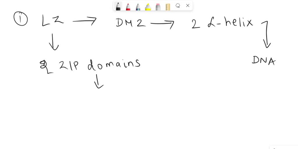 SOLVED The figure shows four protein motifs that are involved in DNA