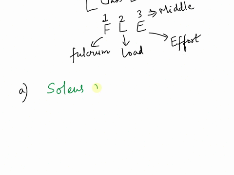 what-class-of-lever-system-do-the-following-activities-describe-a-the-soleus-muscle-plantar-flexes-t-79563