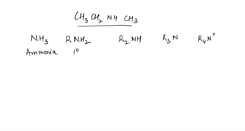 solved-2-draw-an-example-of-a-primary-alkyl-chloride-draw-an-example