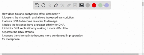 how-does-histone-acetylation-affect-chromatin-it-loosens-the-chromatin-and-allows-increased-transcription-it-allows-dna-to-become-resistant-to-damage-it-helps-the-histones-have-a-greater-aff-60281
