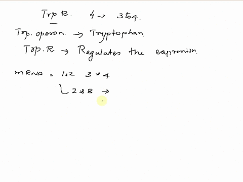 sepi-jottpyuillcsi-3300yi-question-18-3-pts-what-would-happen-to-trp-operon-expression-in-trpr-e-coli-cells-if-you-change-the-sequence-of-region-4-in-trpl-so-that-it-does-not-base-pair-with-56104