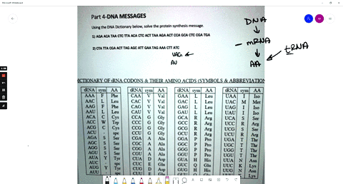 part-4-dna-messages-using-the-dna-dictionary-below-solve-the-protein-synthesis-message-1-aga-aca-taa-ctc-tta-aca-ctc-act-taa-aga-act-cca-gca-ctc-cga-tga-2-cta-tta-cga-act-tag-agc-att-gaa-tag-03982