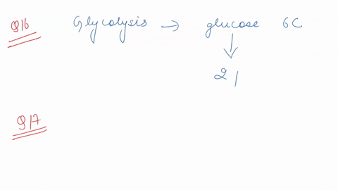 question-16-what-happens-in-glycolysis-glucose-is-broken-down-into-co2-glucose-is-reduced-and-split-into-two-pyruvate-molecules-glucose-is-oxidized-and-split-into-two-pyruvate-molecules-gluc-07594