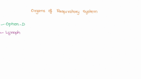 what-of-the-following-is-not-a-major-organ-of-the-respiratory-system-trachea-bronchioles-alveoli-lymph-nodes-41153
